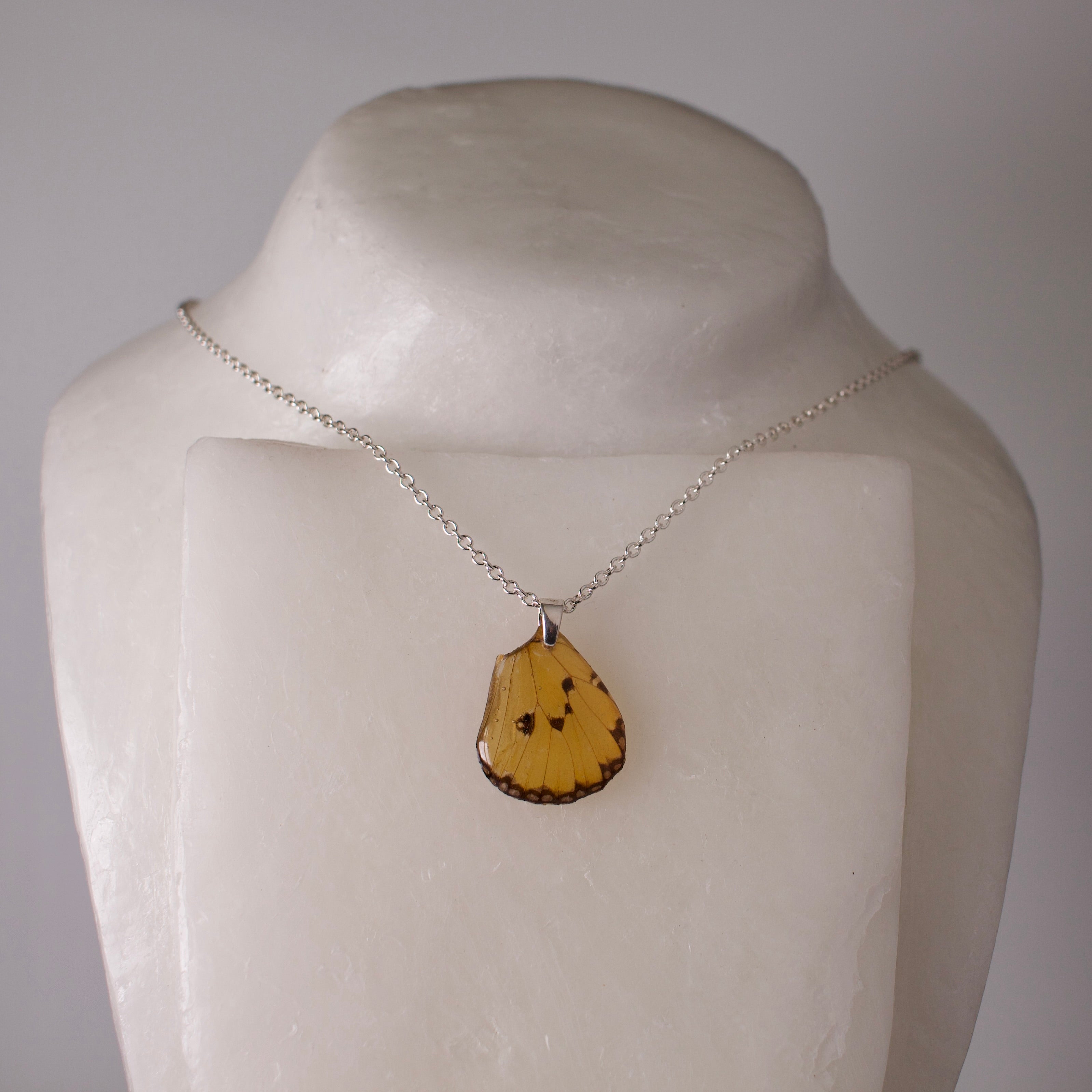 real butterfly wing pendant plain tiger butterflies Danaus chrysippus silver chain necklace on wax form