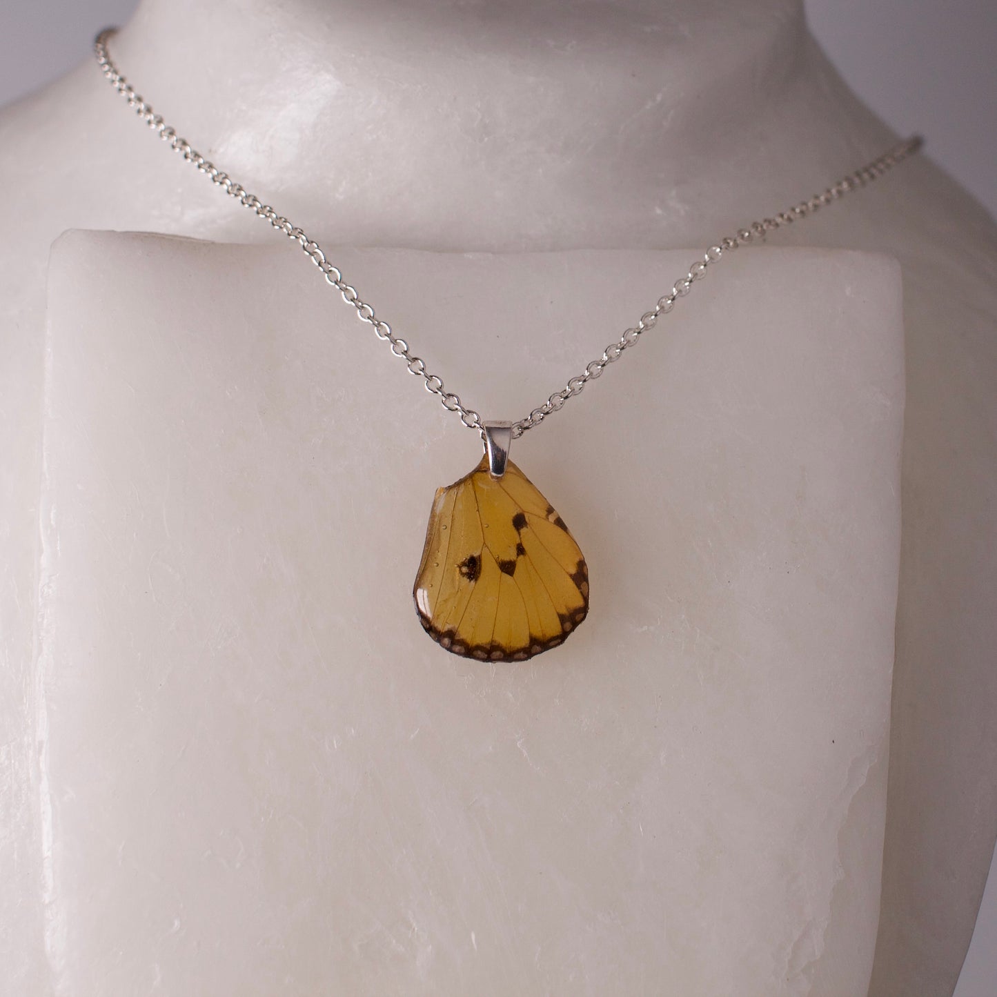 real butterfly wing pendant plain tiger butterflies Danaus chrysippus silver necklace on mannequin
