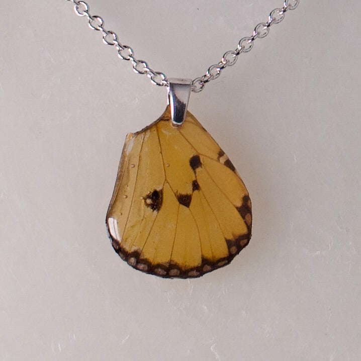 real butterfly wing pendant plain tiger butterflies silver necklace close up on wax