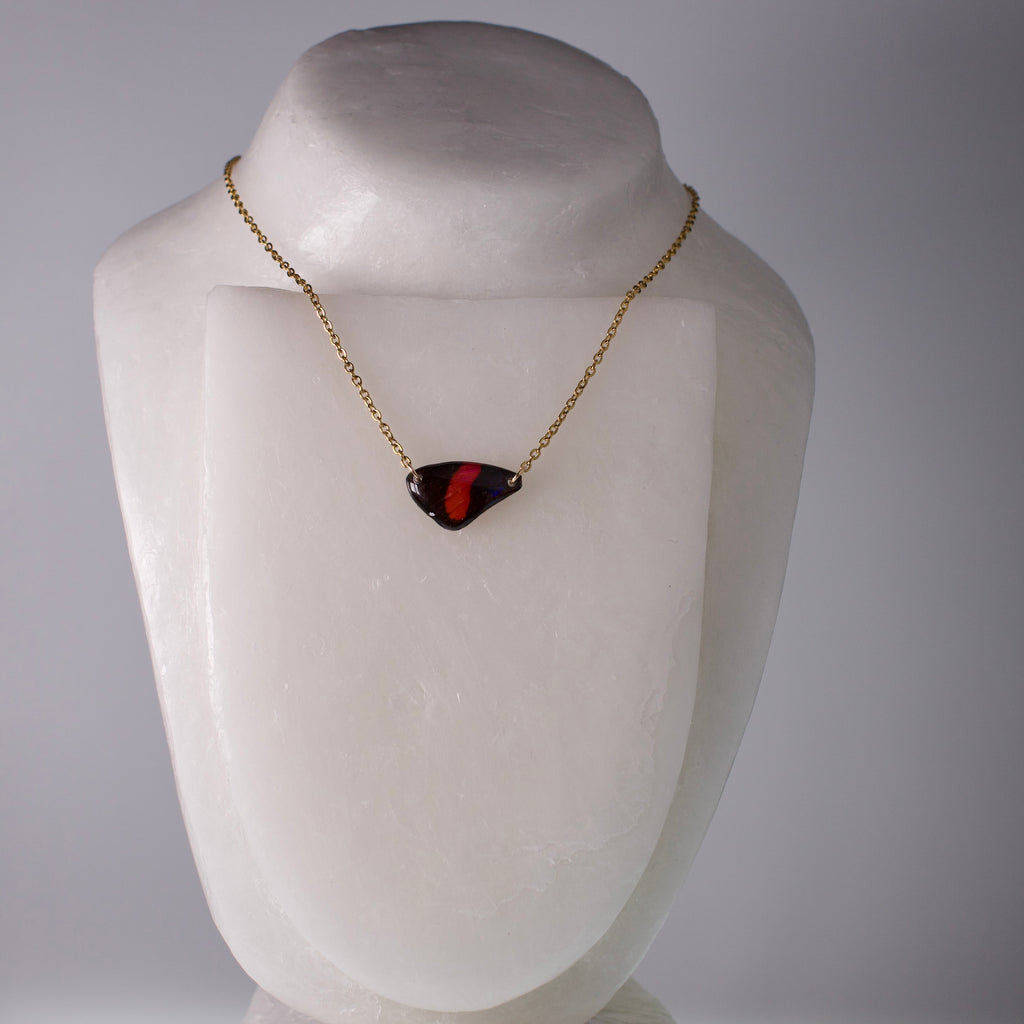 real butterfly wing pendant red Callicore hystaspes number butterflies gold necklace on neck form