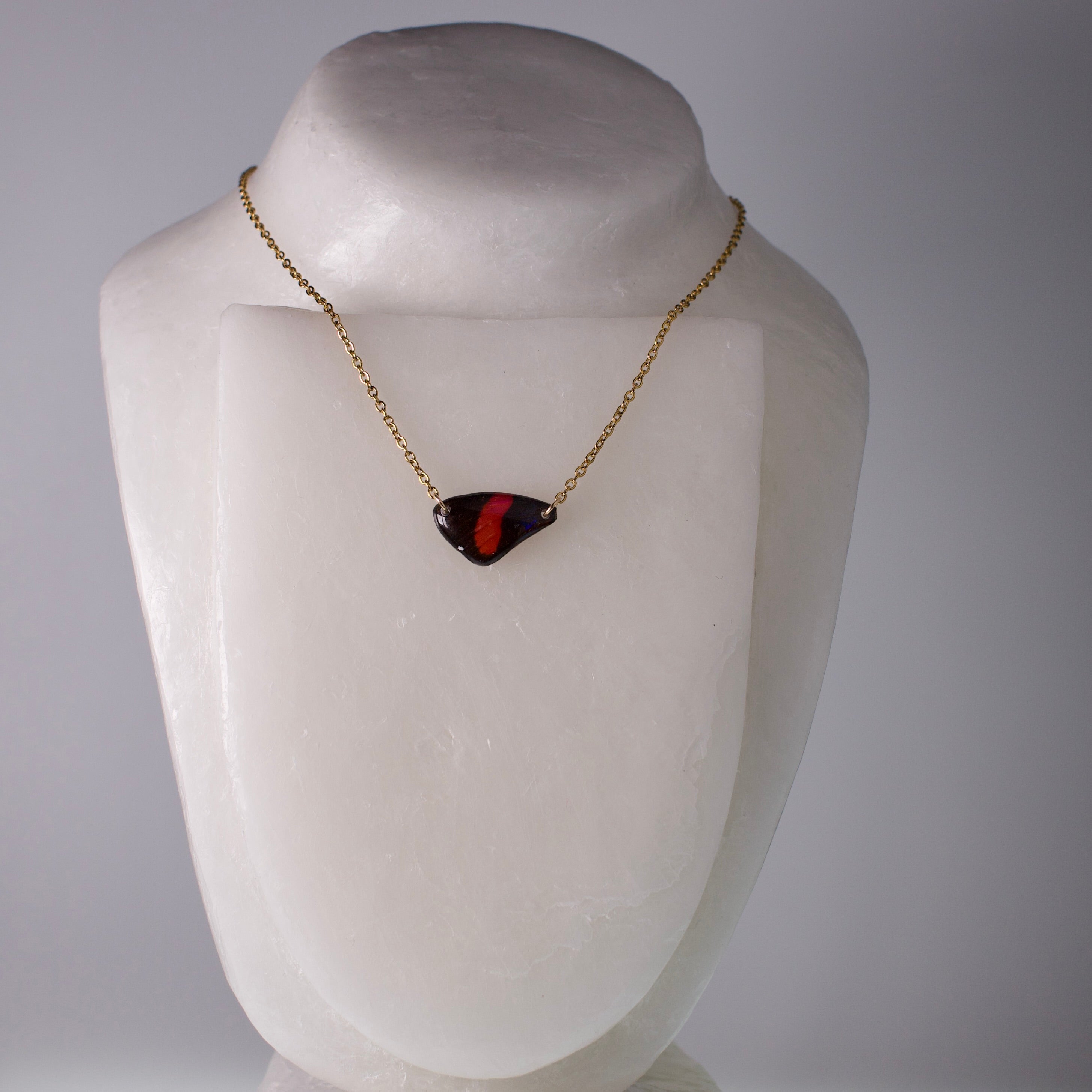 real butterfly wing pendant red Callicore hystaspes number butterflies gold necklace on neck form