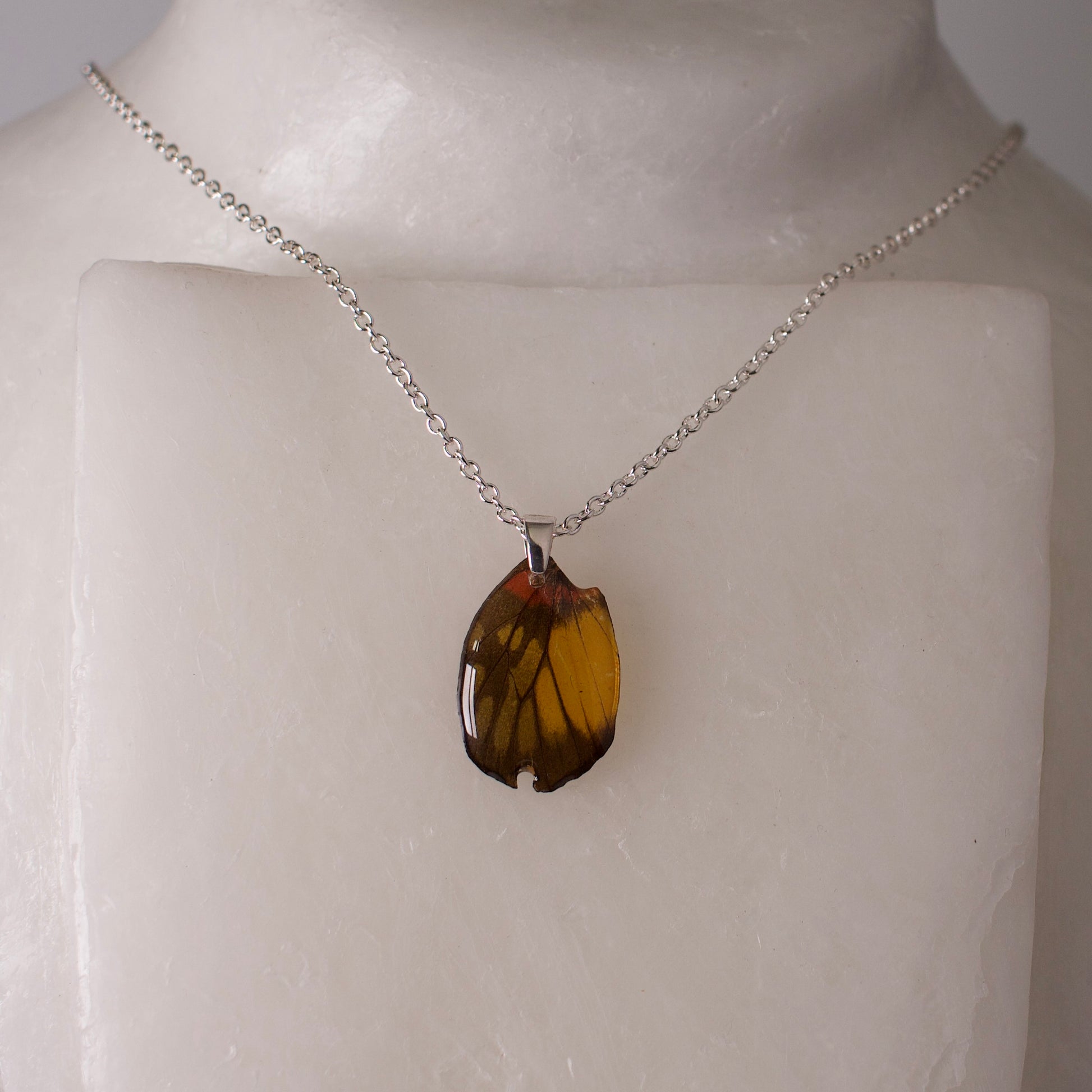 real butterfly wing pendant red breasted jezebel butterflies silver necklace on wax form