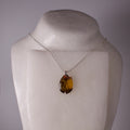 real butterfly wing pendant red breasted jezebel butterflies silver necklace bail and chain on neck form
