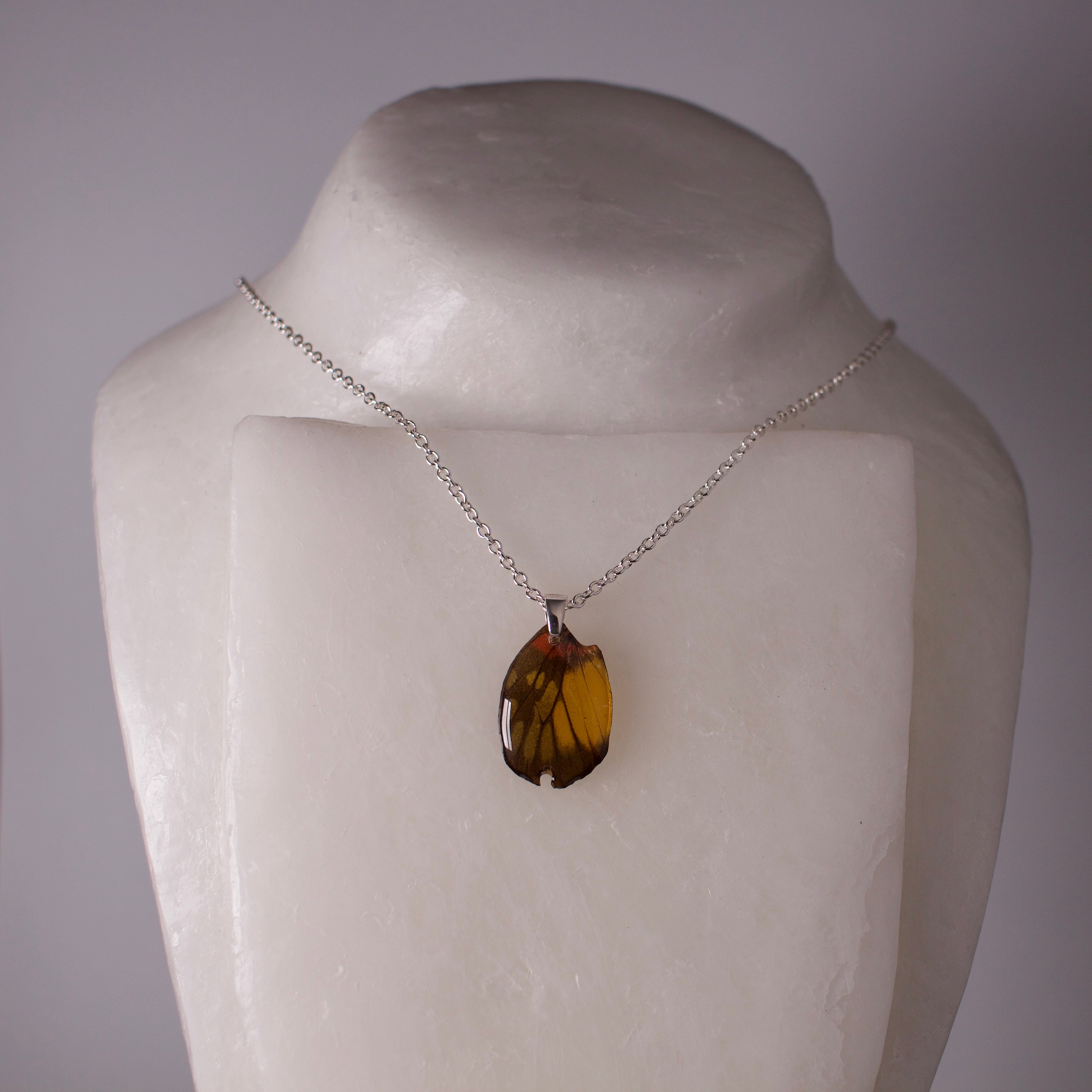 real butterfly wing pendant red breasted jezebel butterflies silver necklace bail and chain on neck form