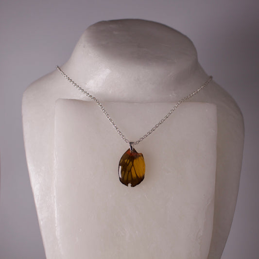 real butterfly wing pendant red breasted jezebel butterflies silver necklace bail and chain on neck form