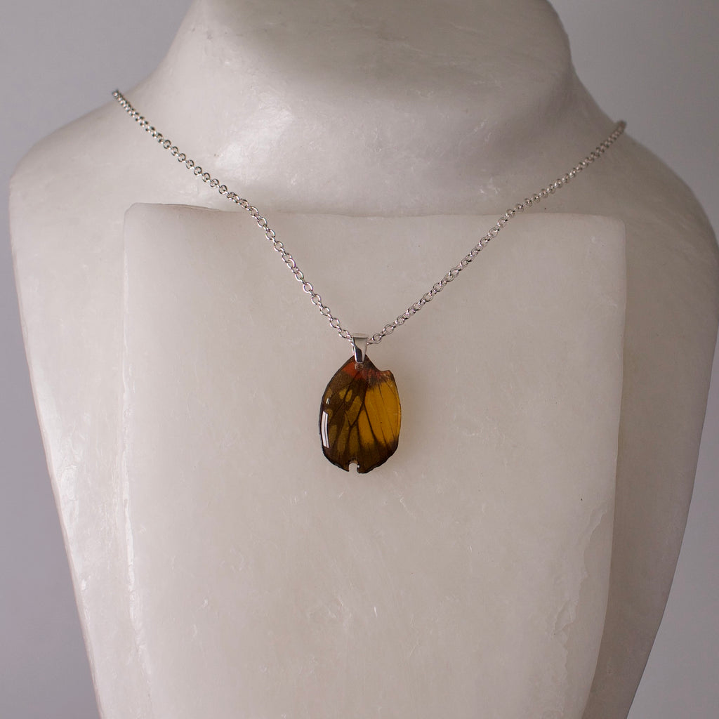 real butterfly wing pendant red breasted jezebel butterflies silver necklace chain on wax form