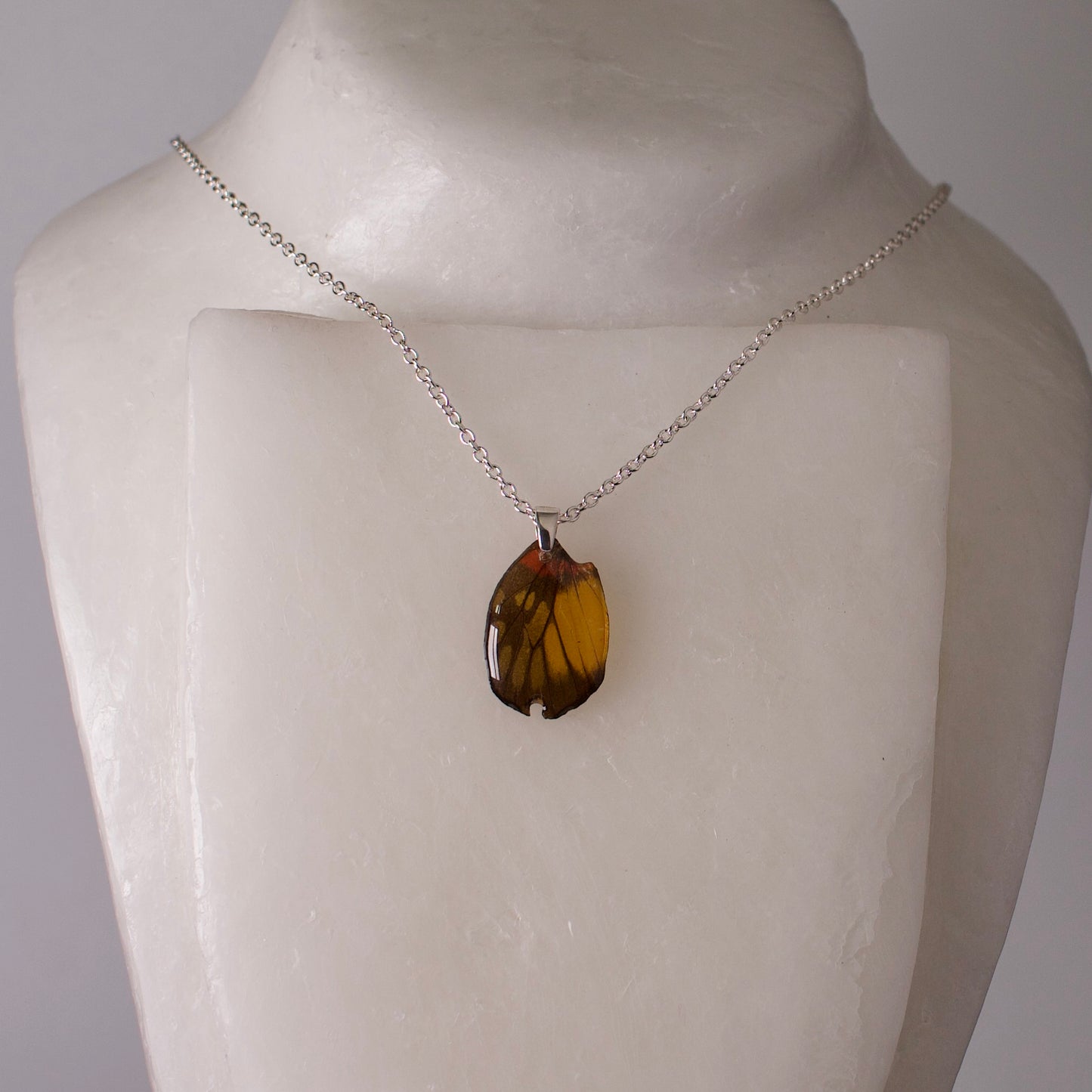 real butterfly wing pendant red breasted jezebel butterflies silver necklace chain on wax form