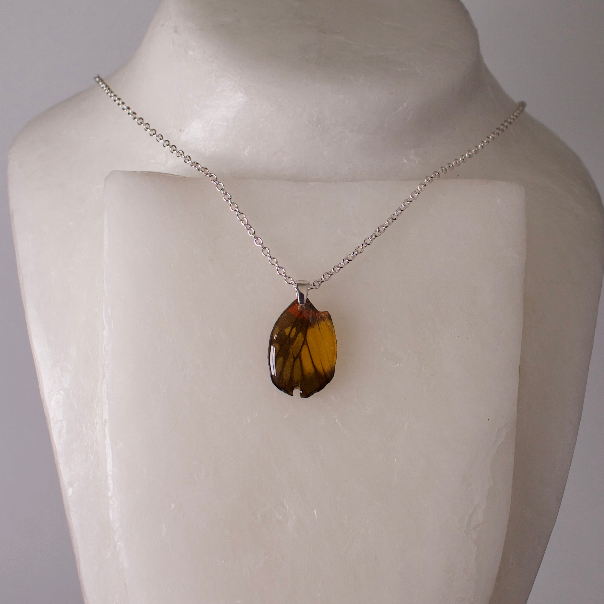 real butterfly wing pendant red breasted jezebel butterflies silver necklace chain on wax form