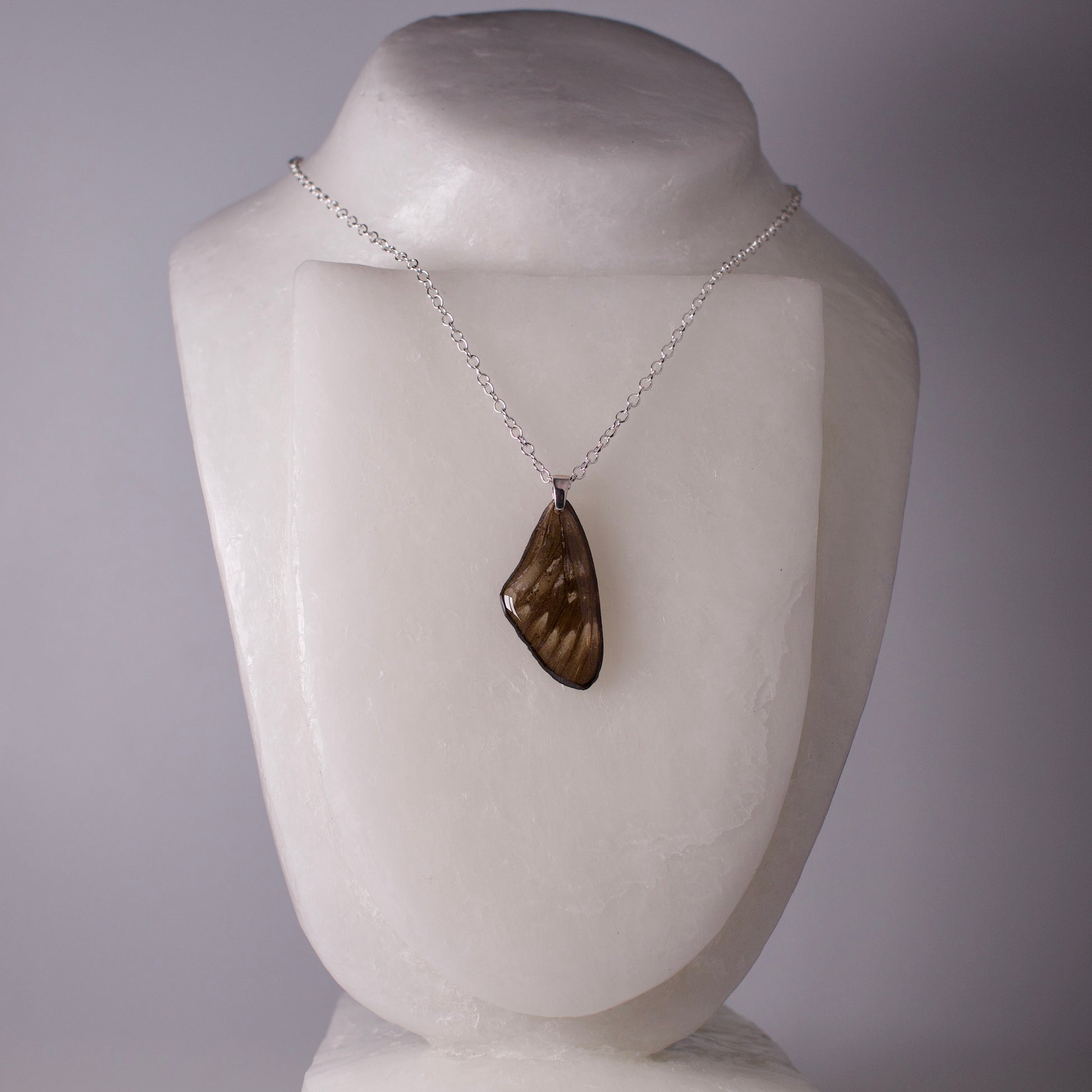 real butterfly wing pendant red crested jezebel Delias butterflies silver necklace on mannequin
