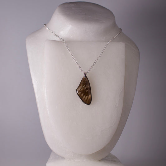 real butterfly wing pendant red crested jezebel Delias butterflies silver necklace on mannequin