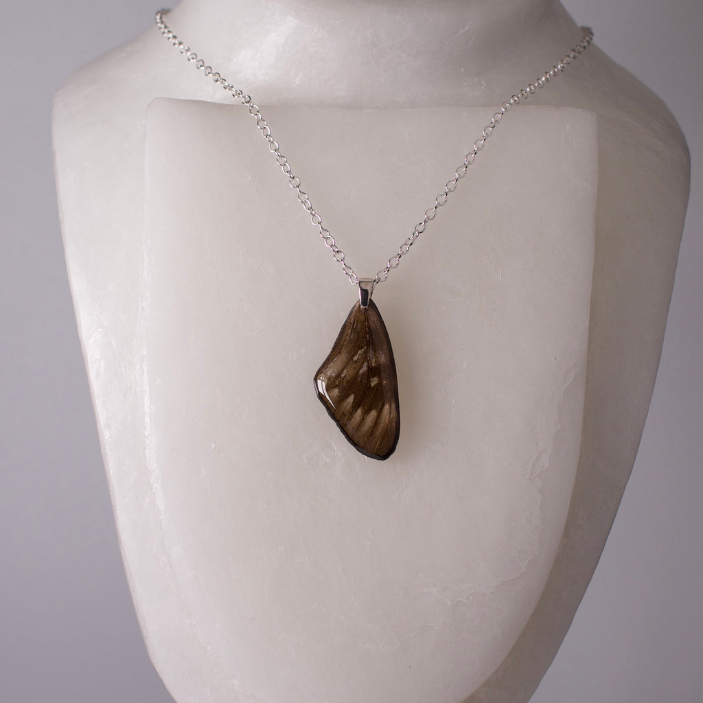real butterfly wing pendant red crested jezebel black Delias butterflies silver necklace on form