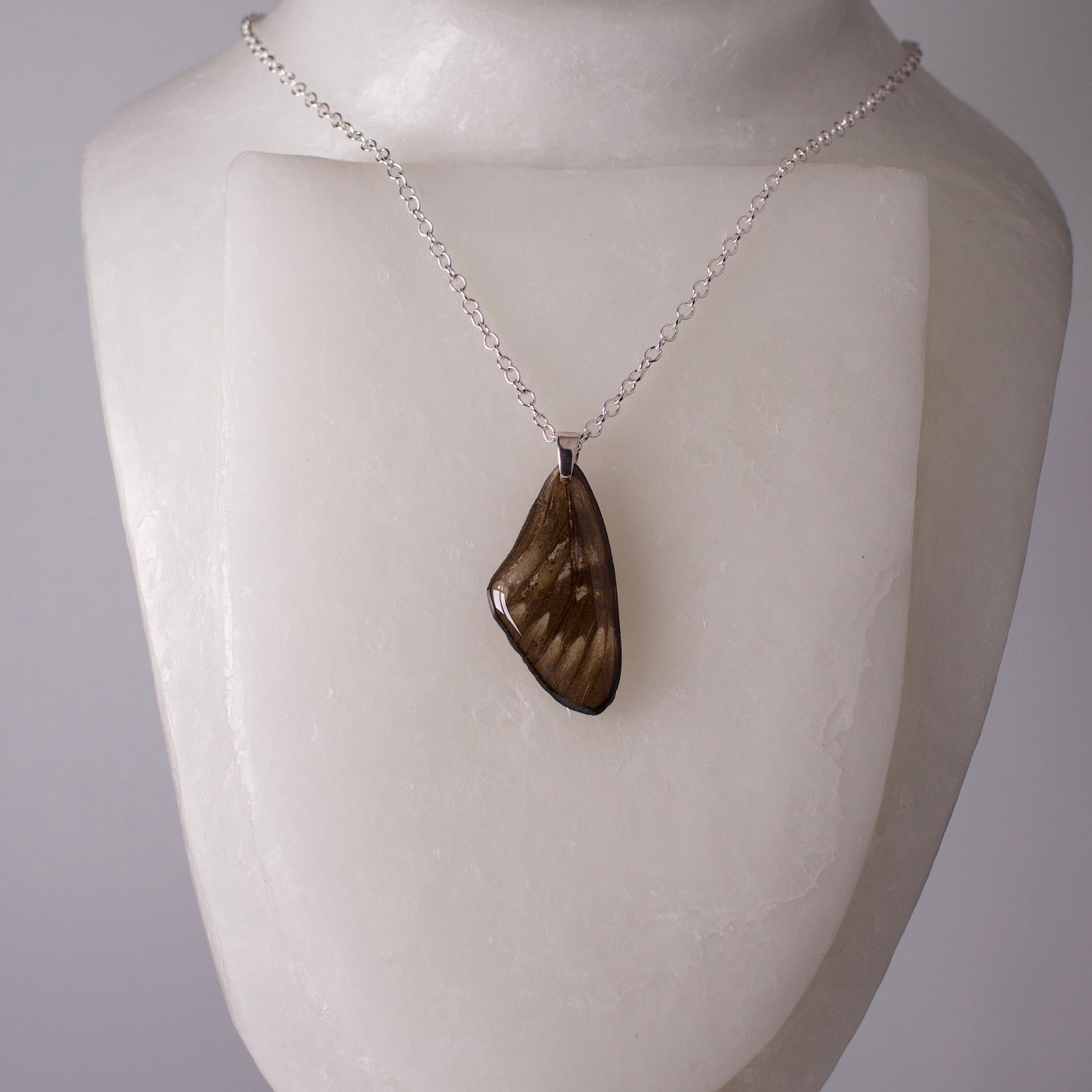 real butterfly wing pendant red crested jezebel black Delias butterflies silver necklace on form