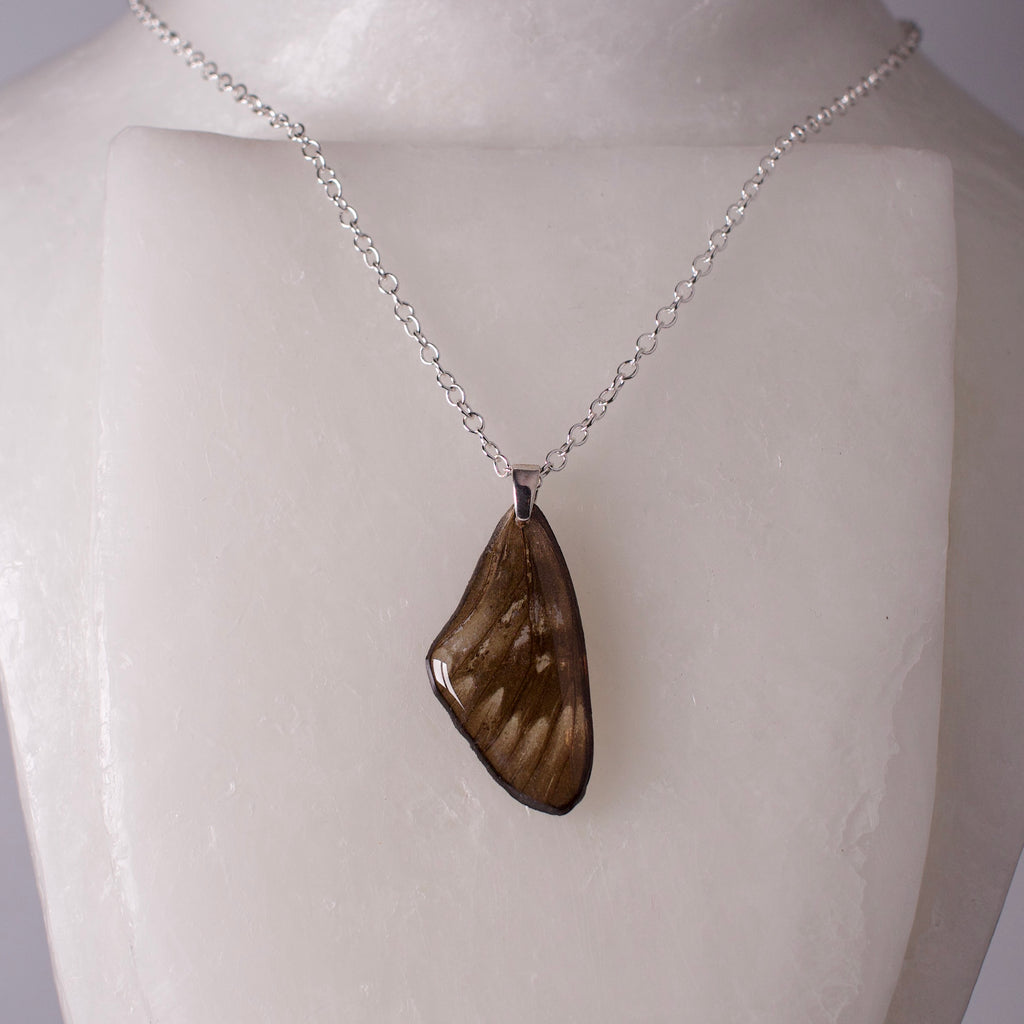 real butterfly wing pendant red crested jezebel black butterflies silver necklace on neck form