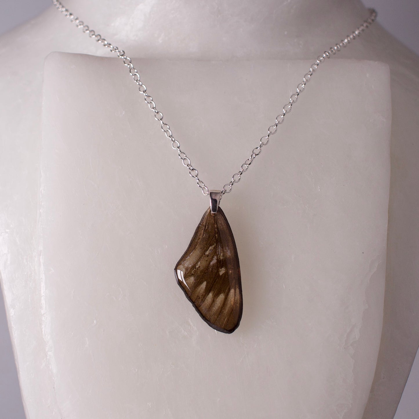 real butterfly wing pendant red crested jezebel black butterflies silver necklace on neck form