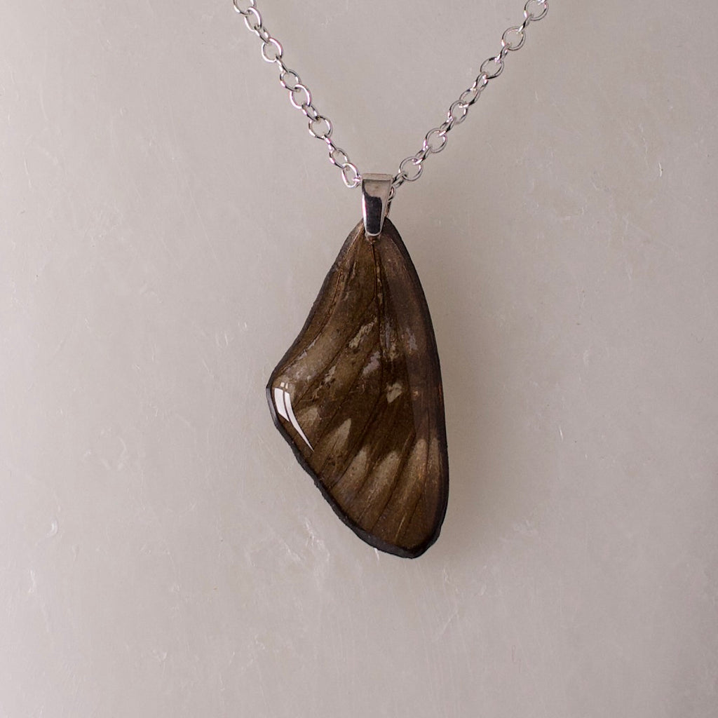 real butterfly wing pendant red crested jezebel black butterflies silver necklace close up