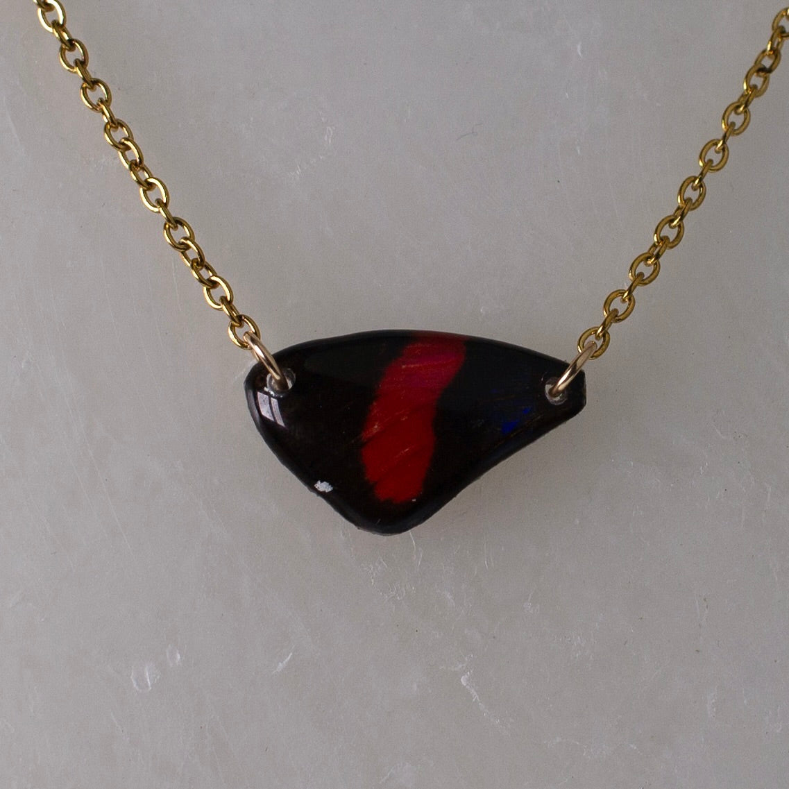 real butterfly wing pendant red number butterflies gold necklace chain close up on wax background
