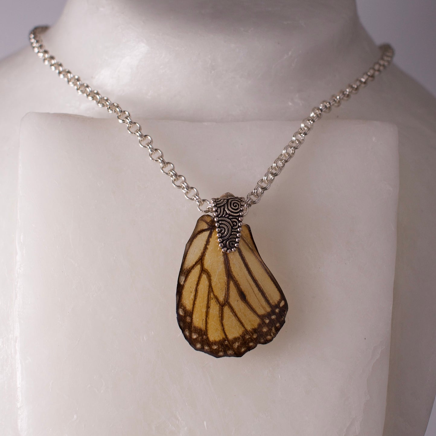 real butterfly wing pendant silver double link chain necklace swirl design bail Danaus plexippus on form