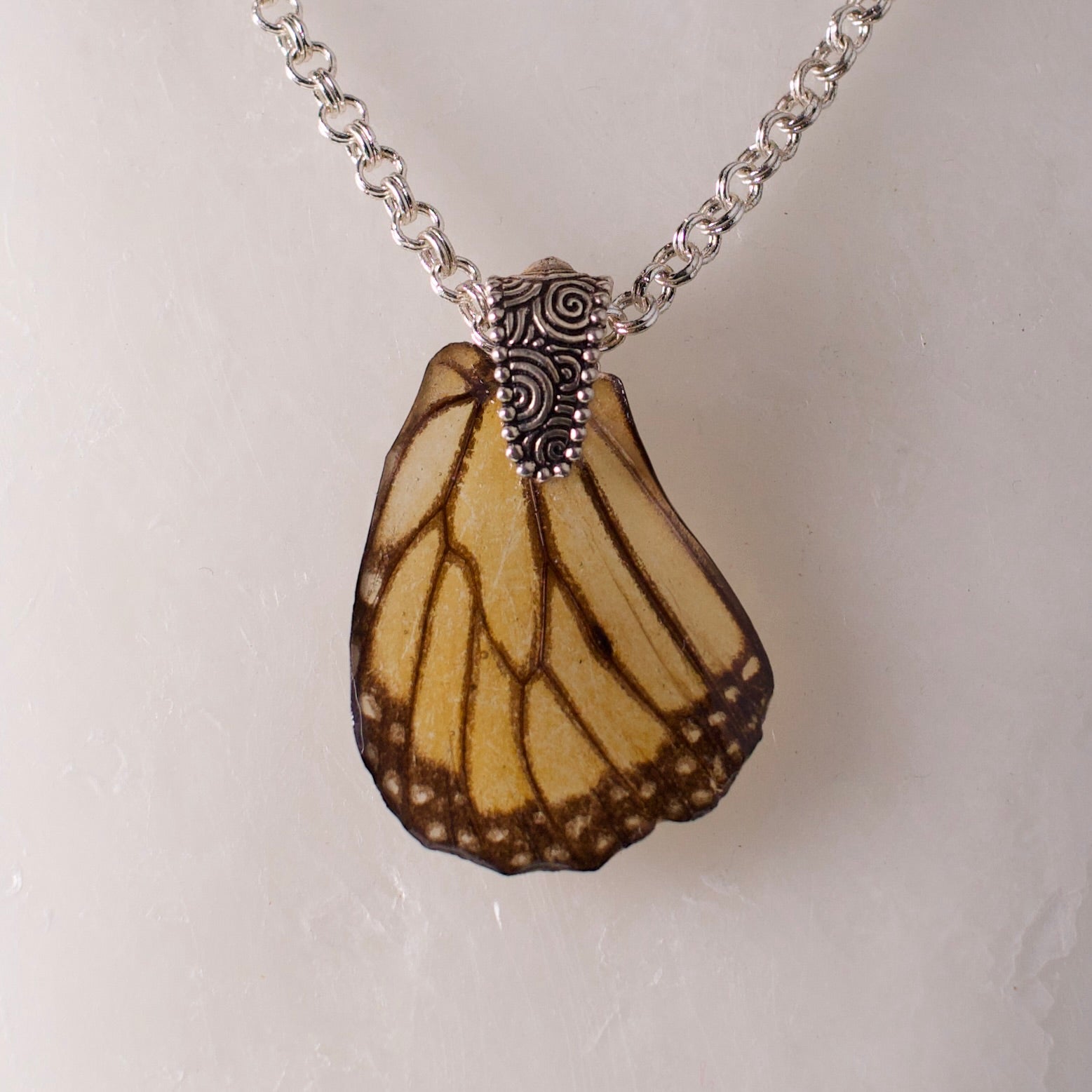 real butterfly wing pendant silver double link chain necklace swirl design bail Danaus plexippus close up