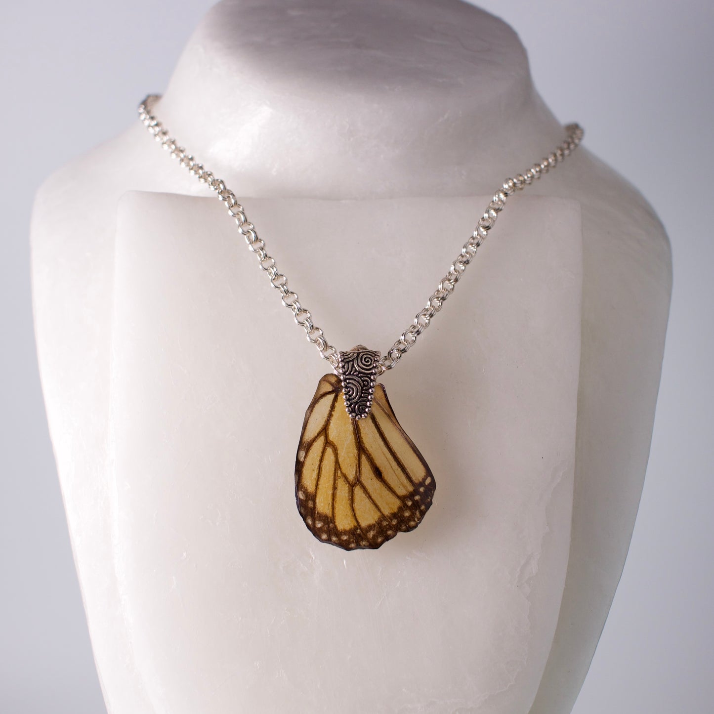 real butterfly wing pendant silver double link necklace swirl design Danaus plexippus on stand