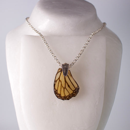 real butterfly wing pendant silver double link necklace swirl design Danaus plexippus on stand
