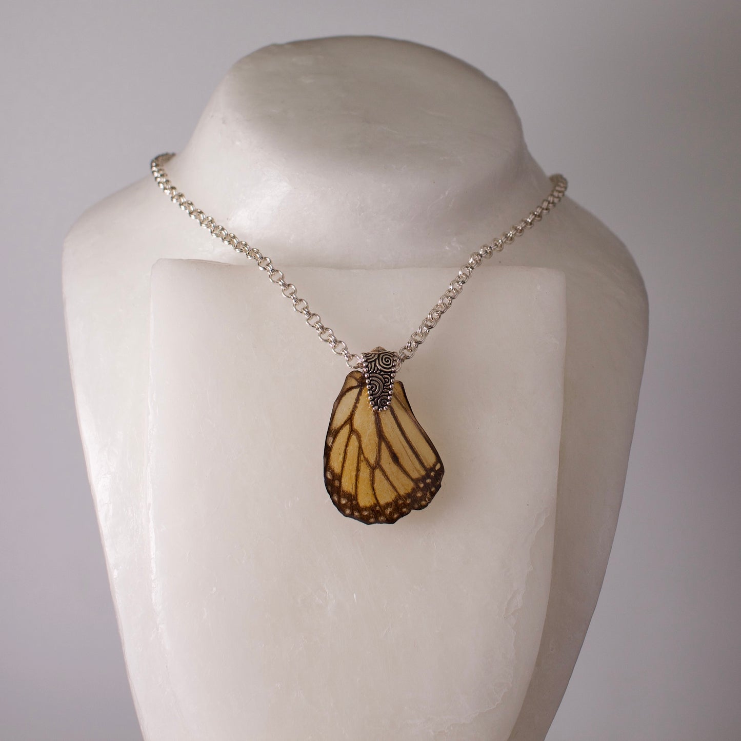 real butterfly wing pendant silver necklace swirl design Danaus plexippus on mannequin