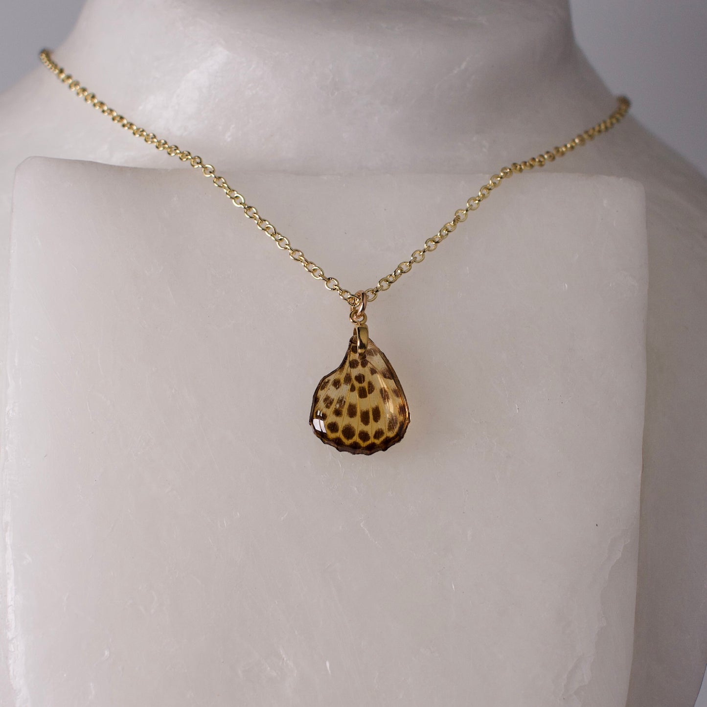 real butterfly wing pendant spotted leopard butterflies phalanta phalanta gold chain necklace on wax form