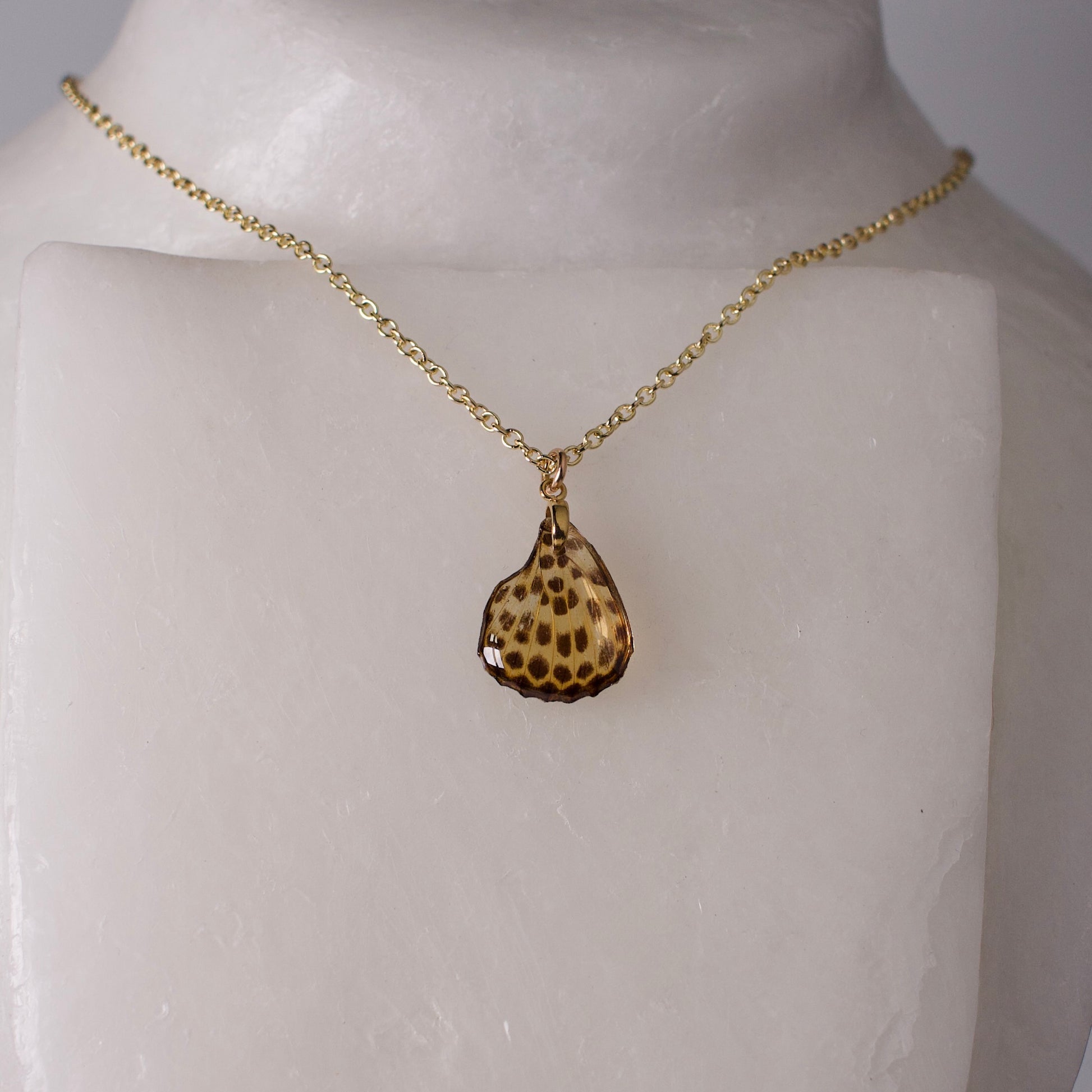 real butterfly wing pendant spotted leopard butterflies phalanta phalanta gold chain necklace on wax form