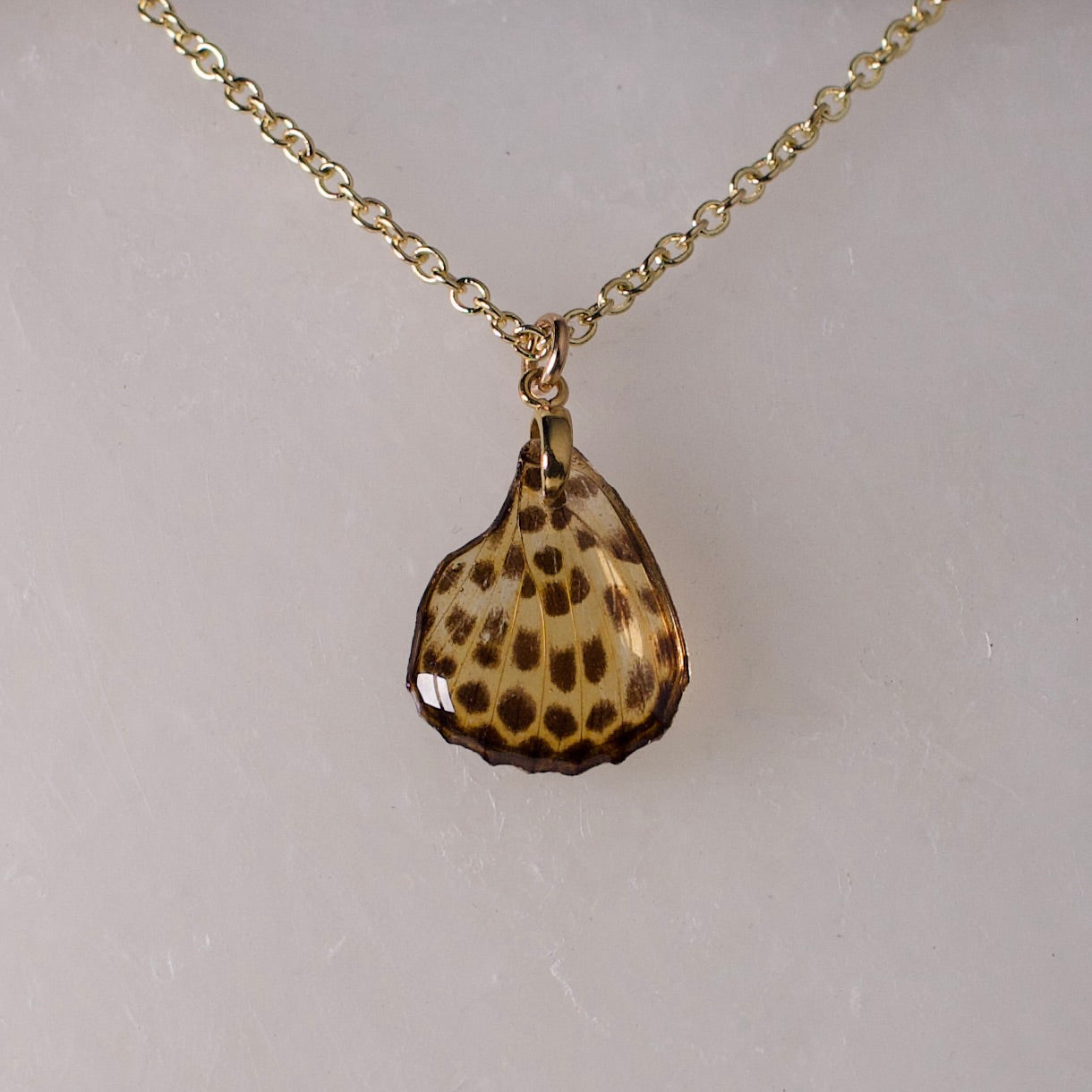 real butterfly wing pendant spotted leopard butterflies phalanta phalanta gold chain necklace close up on wax