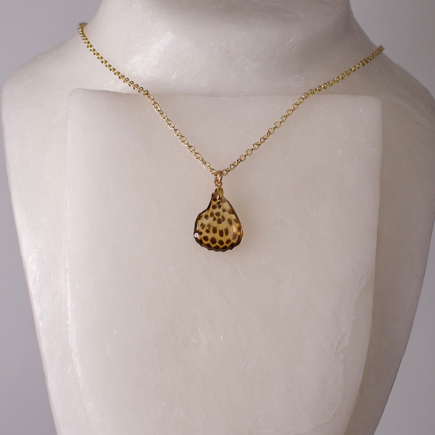 real butterfly wing pendant spotted leopard butterflies phalanta phalanta gold necklace on wax form