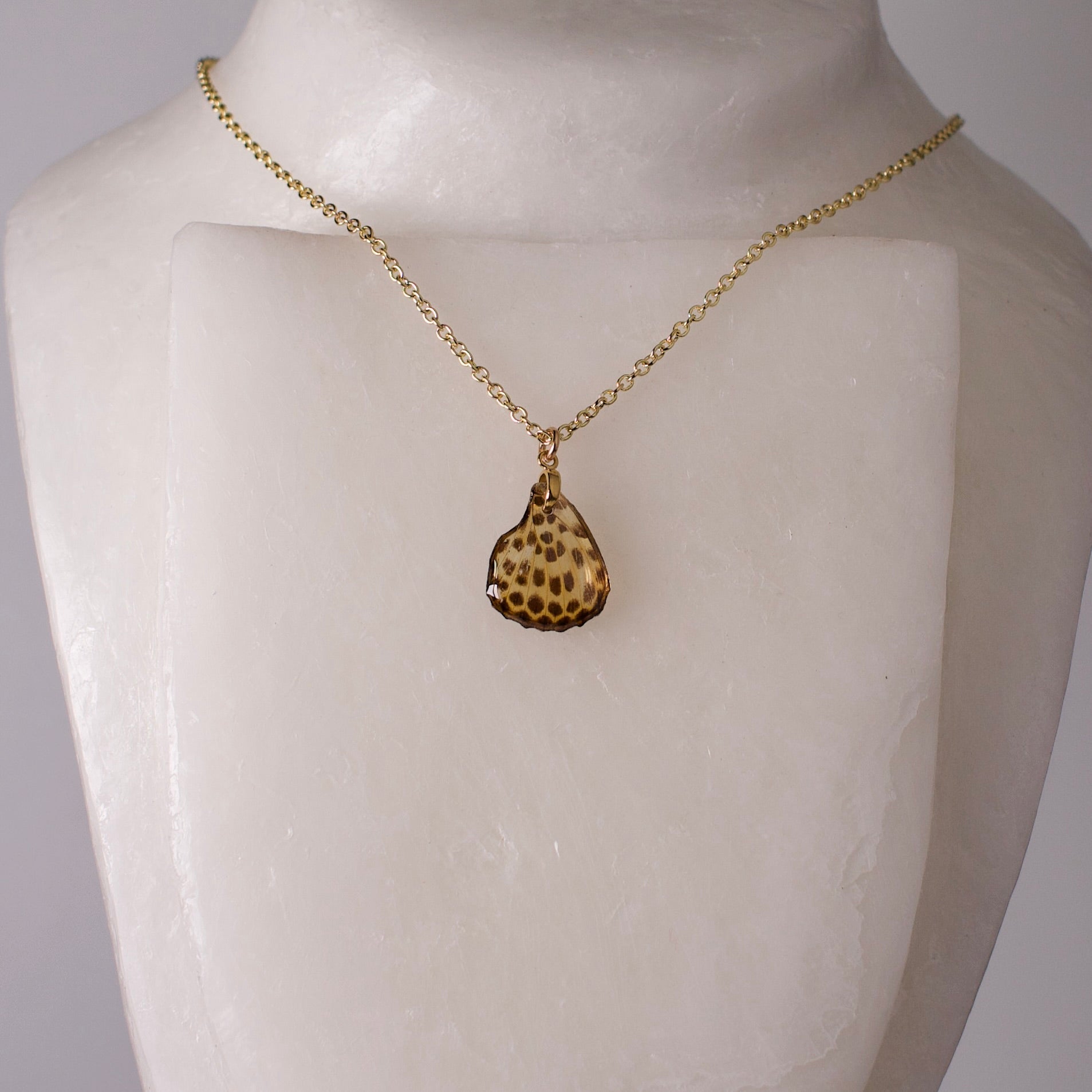 real butterfly wing pendant spotted leopard butterflies phalanta phalanta gold necklace on wax form