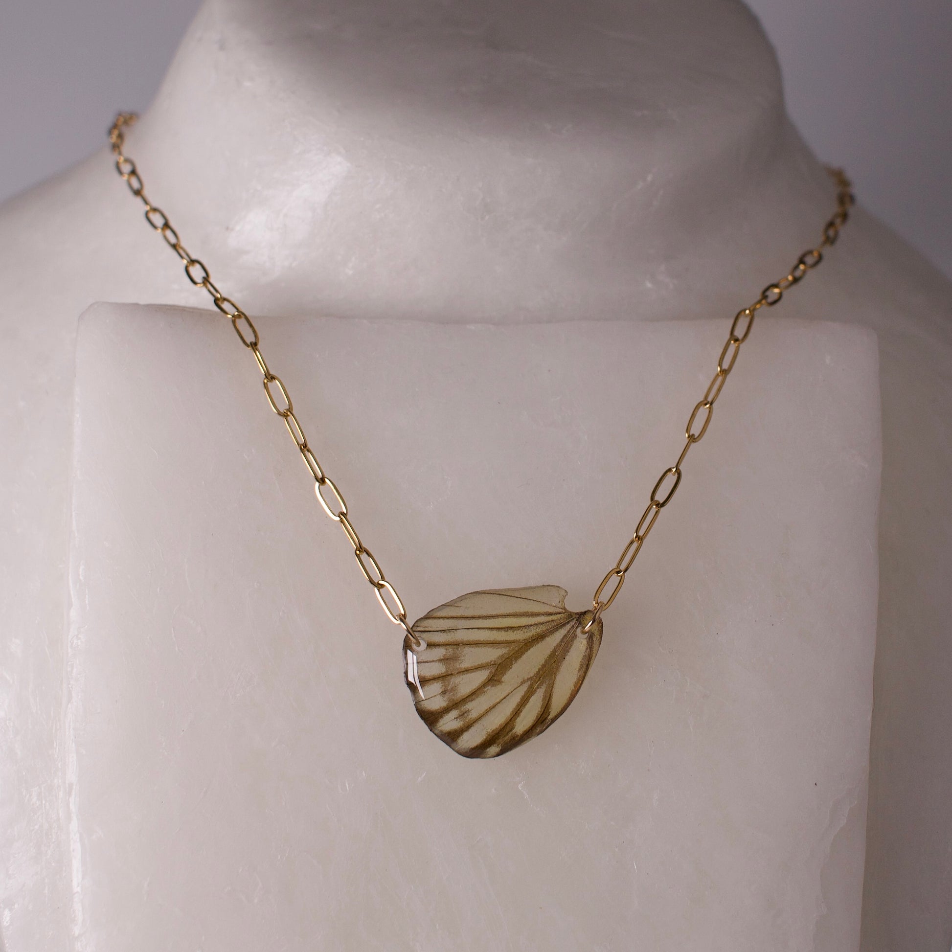 real butterfly wing pendant striped albatross butterflies gold paperclip chain necklace on wax form