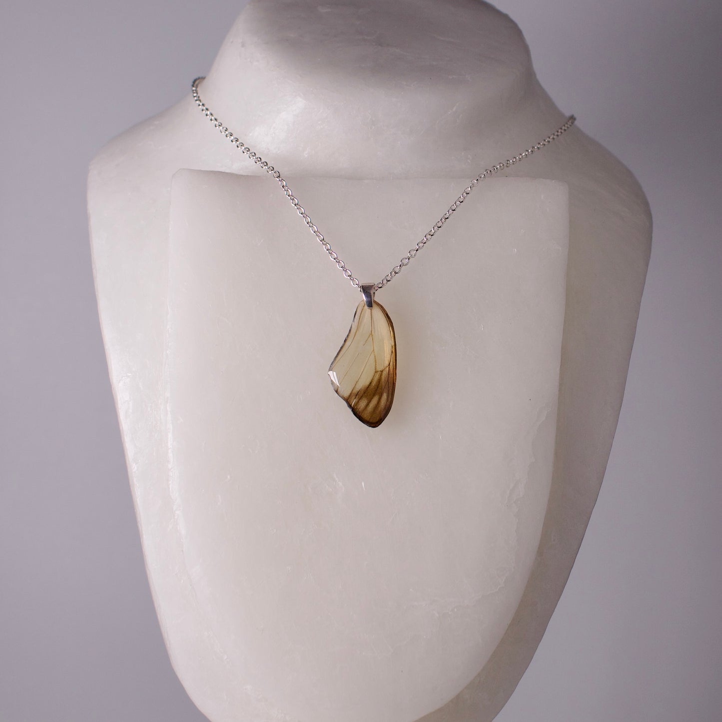 real butterfly wing pendant white butterflies Delias hyparete painted jezebel sterling silver chain necklace on wax form