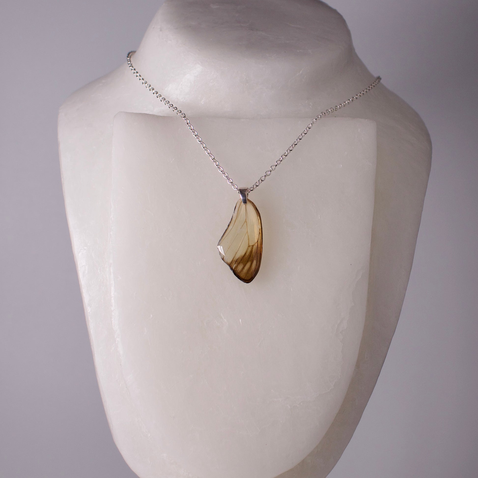 real butterfly wing pendant white butterflies Delias hyparete painted jezebel sterling silver chain necklace on wax form