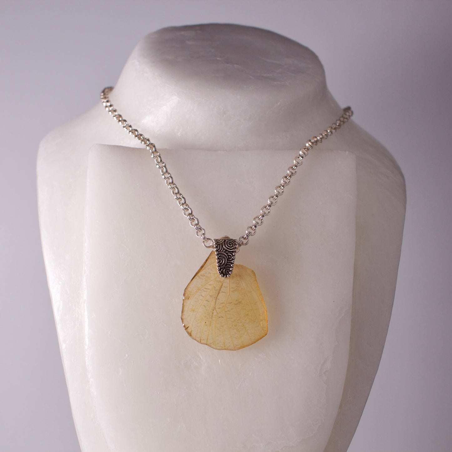 real butterfly wing pendant white butterflies Great Orange Tip silver heavy chain necklace on form