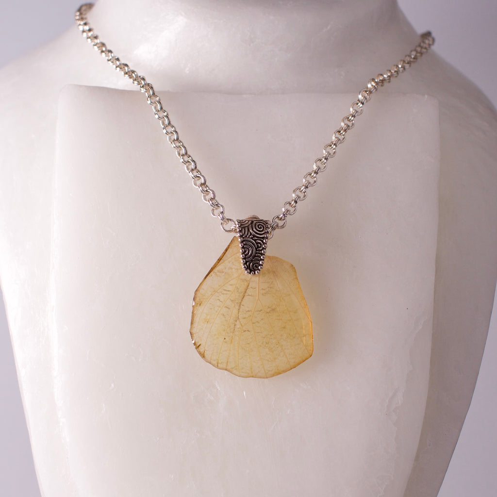 real butterfly wing pendant white butterflies Hebomia glaucippe silver artist made necklace on form