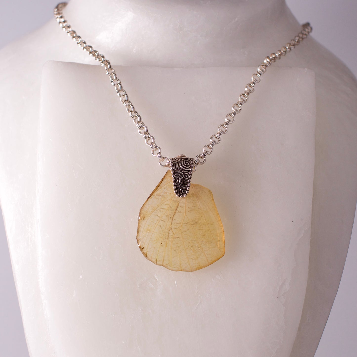 real butterfly wing pendant white butterflies Hebomia glaucippe silver artist made necklace on form