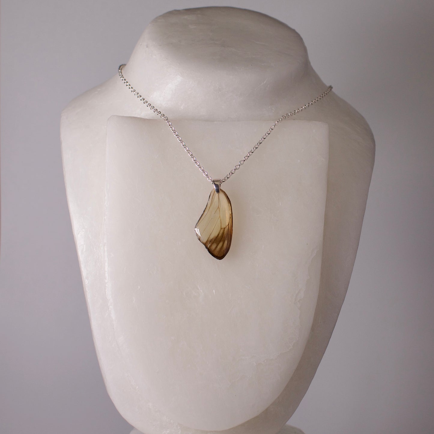 real butterfly wing pendant white butterflies painted jezebel sterling silver chain necklace on wax form