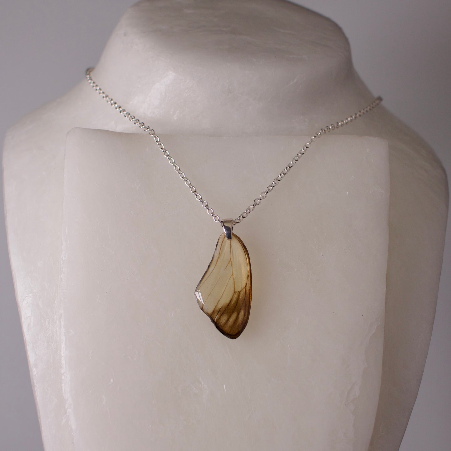 real butterfly wing pendant white butterflies painted jezebel sterling silver necklace on wax form