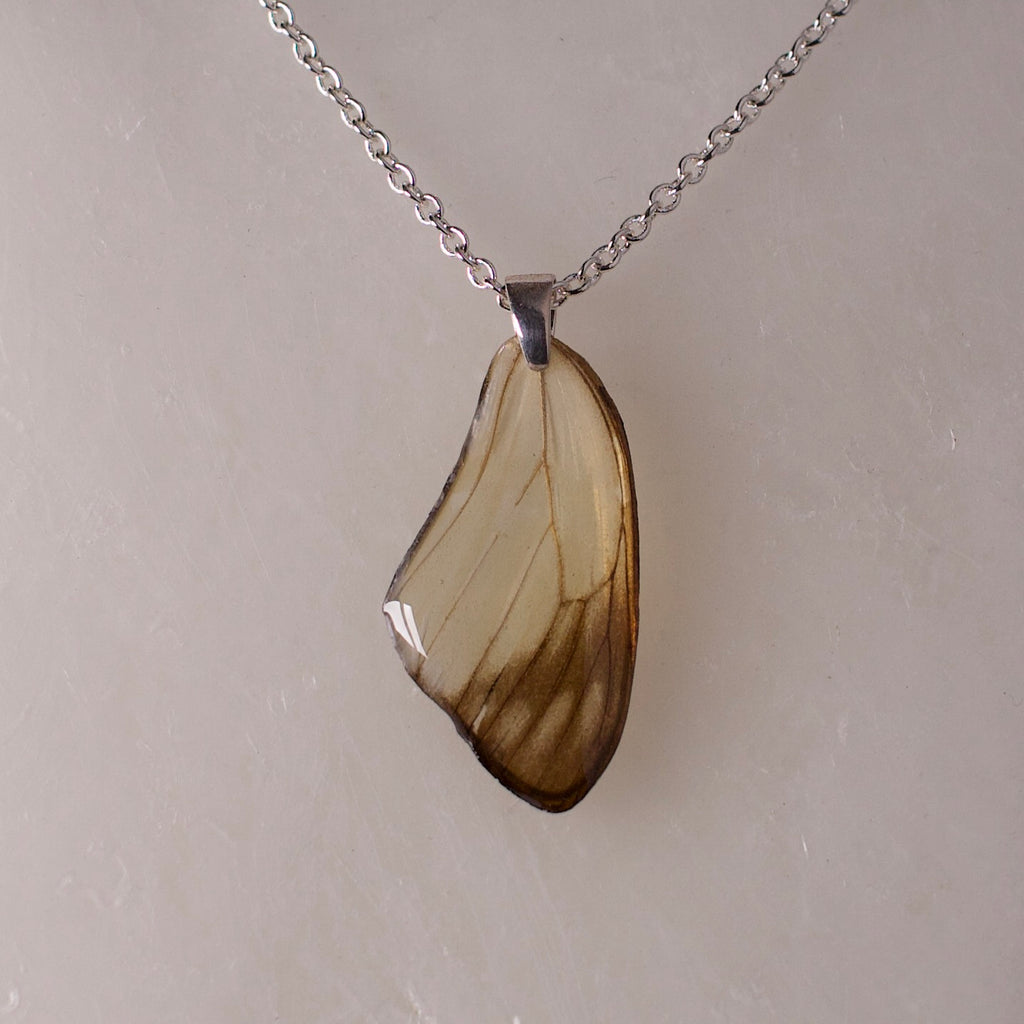 real butterfly wing pendant white butterflies painted jezebel sterling silver necklace close up
