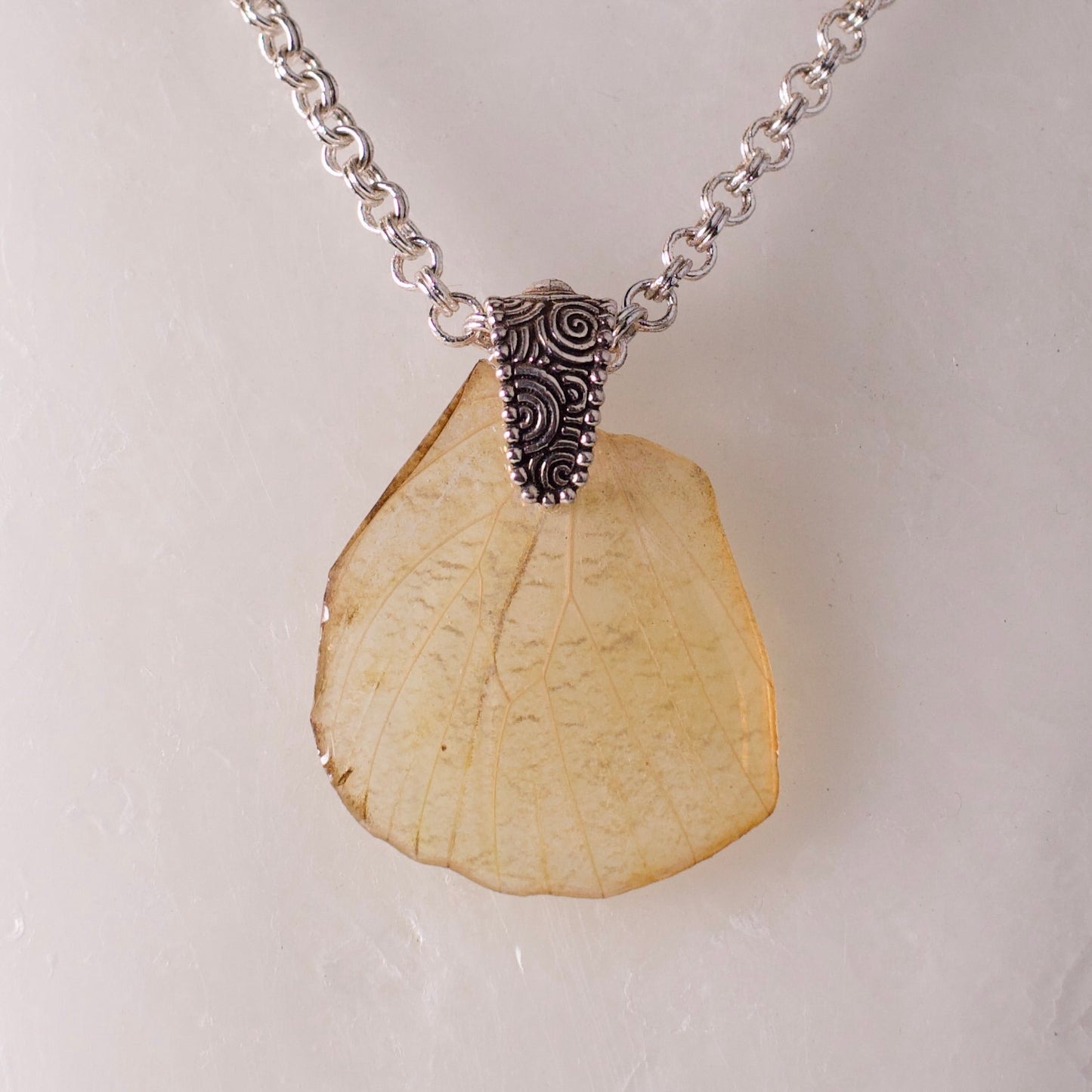 real butterfly wing pendant white butterflies silver necklace close up on wax