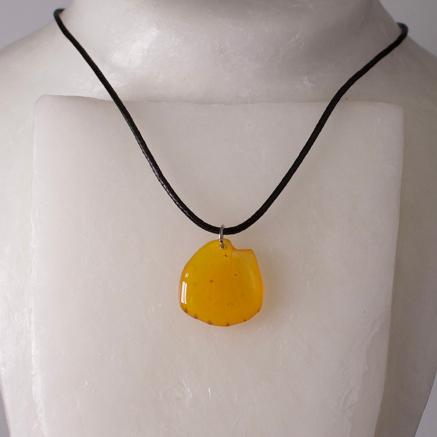 real butterfly wing pendant yellow butterflies orange emigrant black cord on wax form