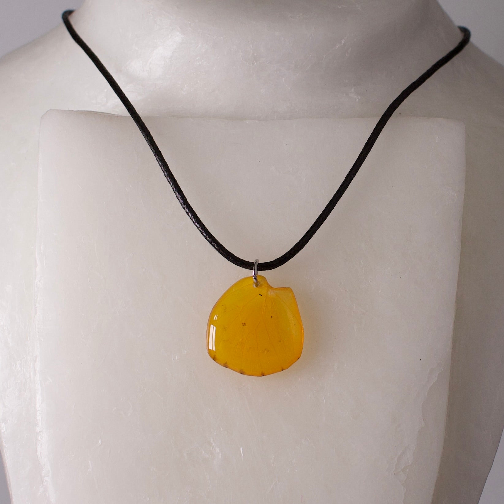 real butterfly wing pendant yellow butterflies orange emigrant black cord on wax form