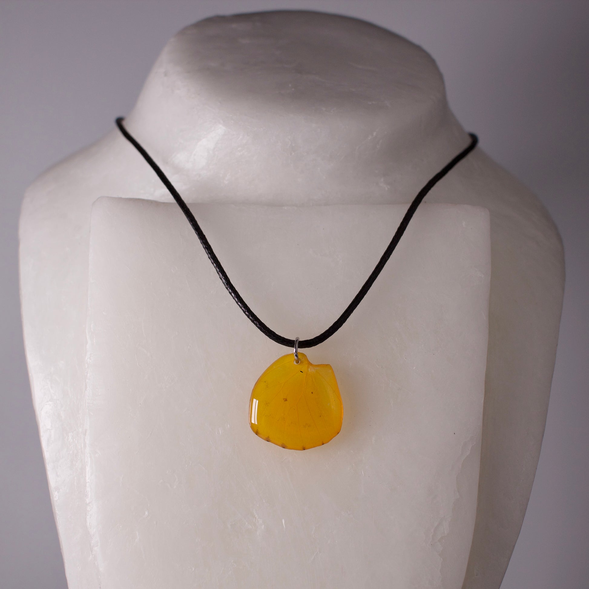 real butterfly wing pendant yellow butterflies orange emigrant black cord necklace on wax form