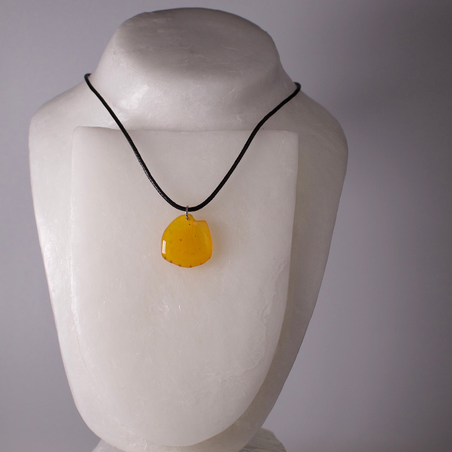 real butterfly wing pendant yellow butterflies orange emigrant butterfly black cord necklace on mannequin