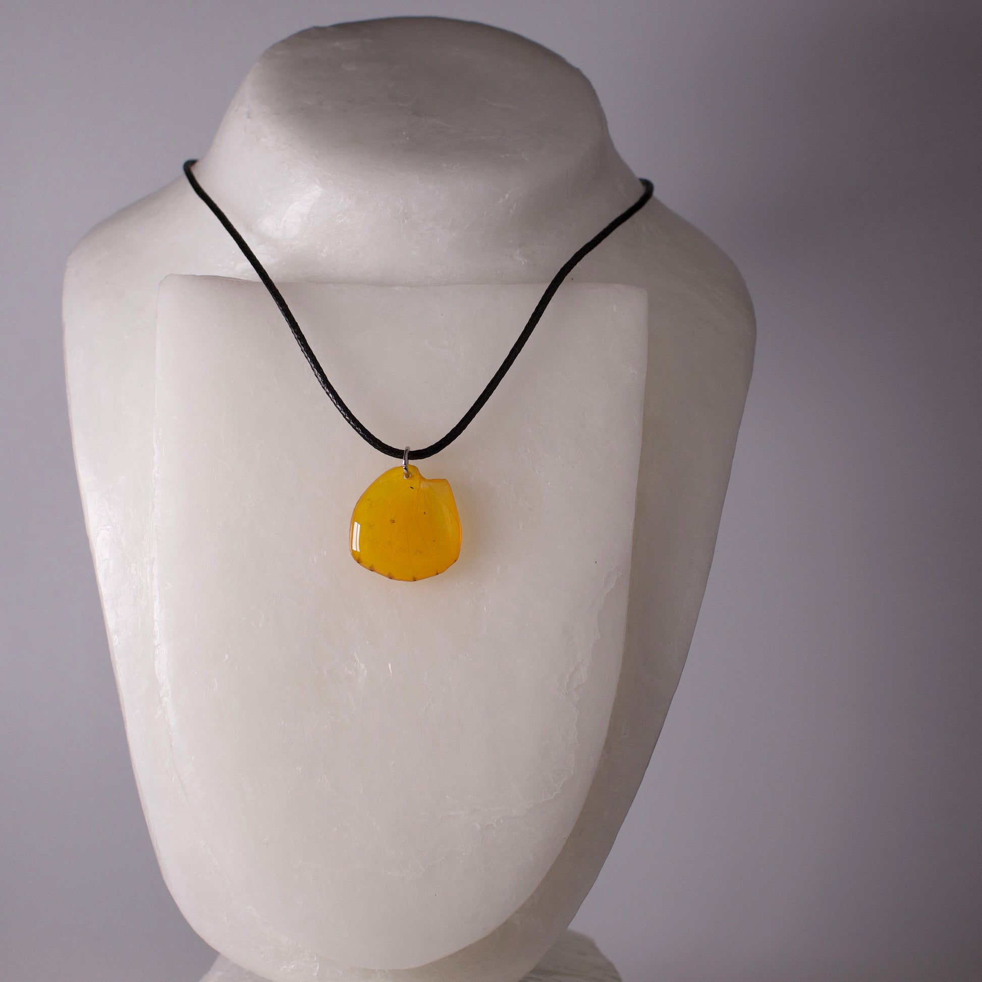 real butterfly wing pendant yellow butterflies orange emigrant butterfly black cord necklace on mannequin