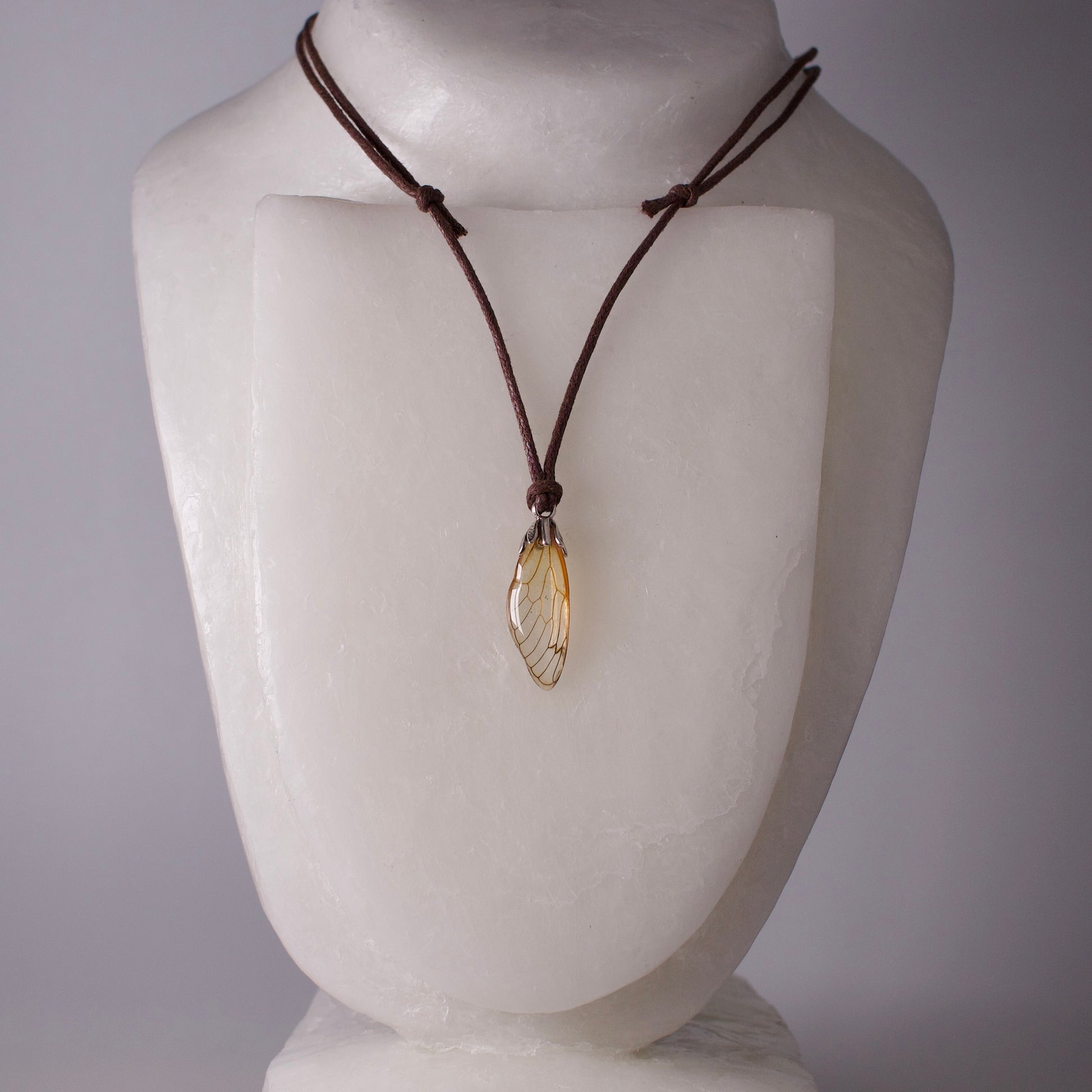 real cicada wing Linnaeus's 17 Year Cicadas pendant silver botanic bail fully adjustable waxed cord on wax form