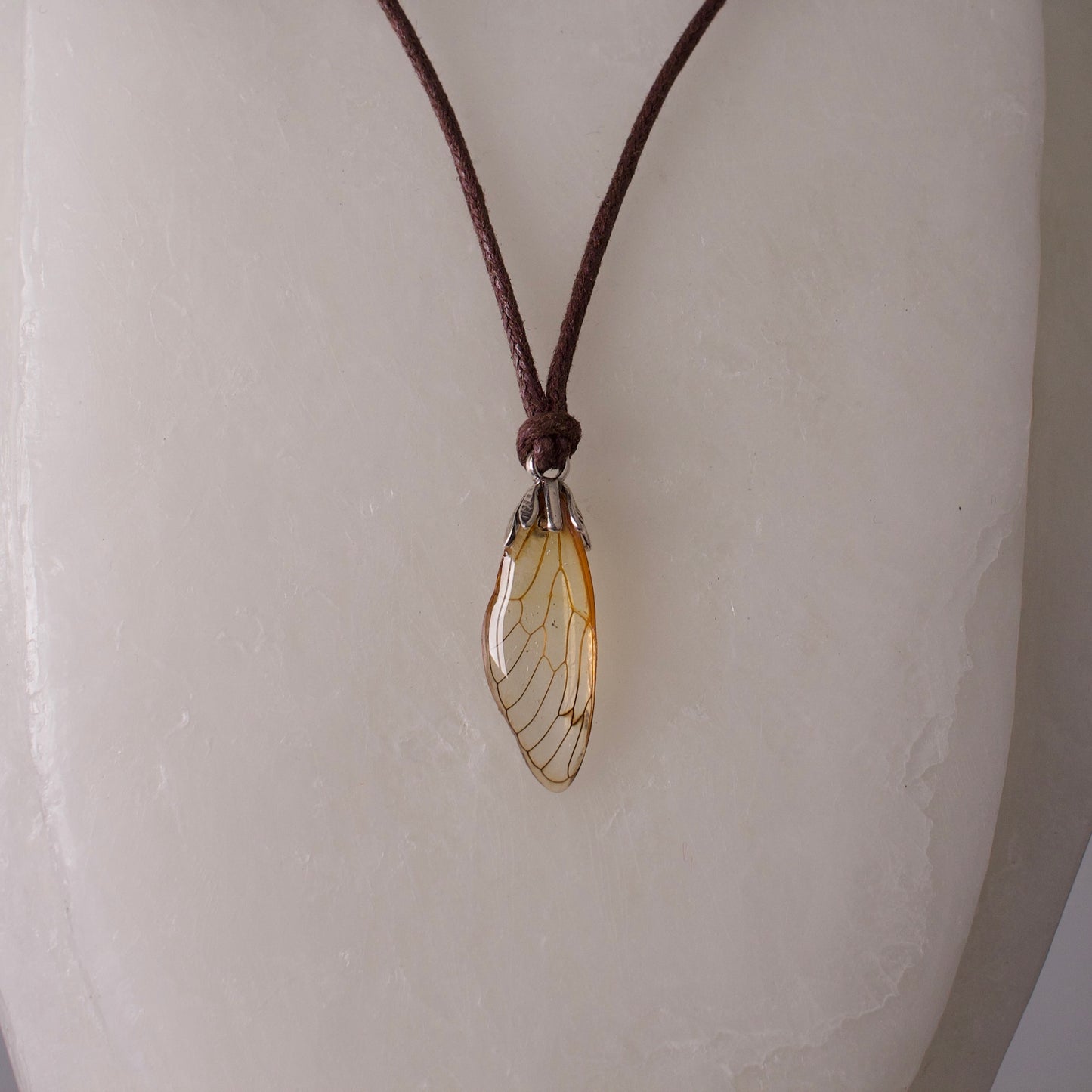 real cicada wing Magicicada septendecim Cicadas pendant silver botanic bail brown waxed cord on wax form