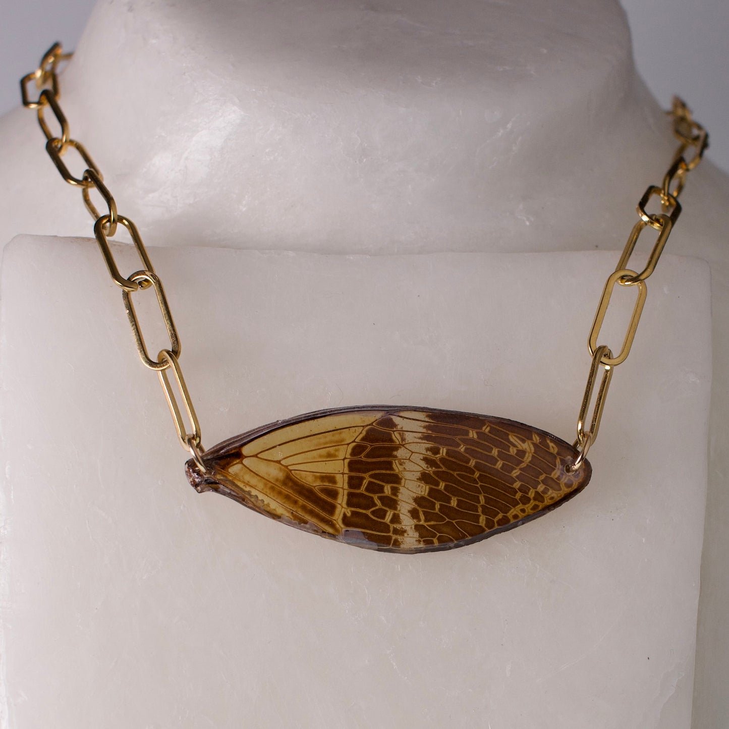real cicada wing necklace coconut Halloween cicada 18K gold on surgical steel paperclip chain on form