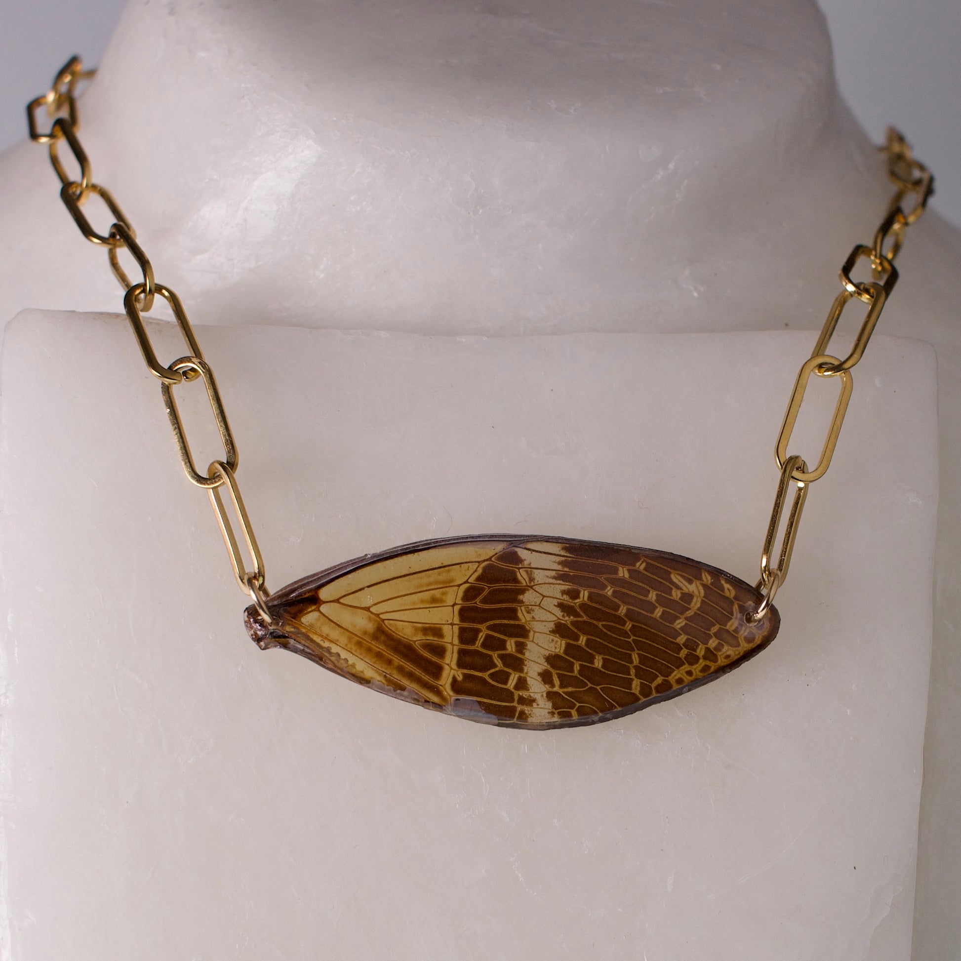 real cicada wing necklace coconut Halloween cicada 18K gold on surgical steel paperclip chain on form