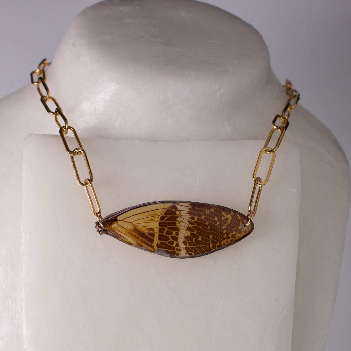 real cicada wing necklace coconut Halloween cicadas gold paperclip chain on wax form
